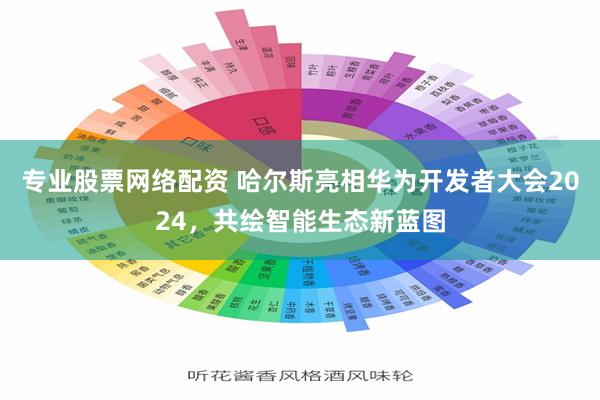 专业股票网络配资 哈尔斯亮相华为开发者大会2024，共绘智能生态新蓝图