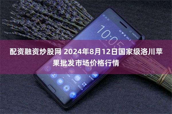 配资融资炒股网 2024年8月12日国家级洛川苹果批发市场价格行情