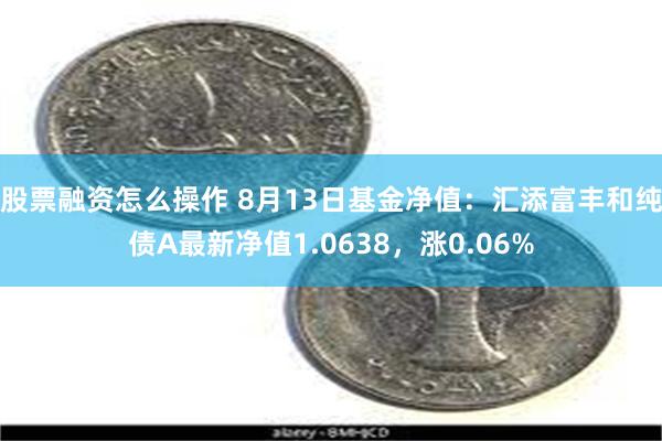 股票融资怎么操作 8月13日基金净值：汇添富丰和纯债A最新净值1.0638，涨0.06%