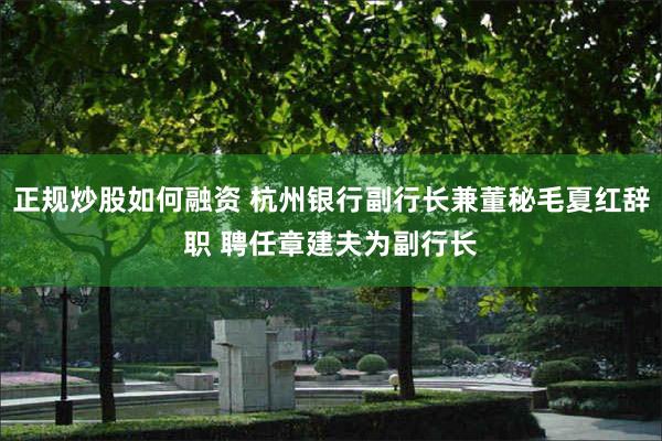 正规炒股如何融资 杭州银行副行长兼董秘毛夏红辞职 聘任章建夫为副行长