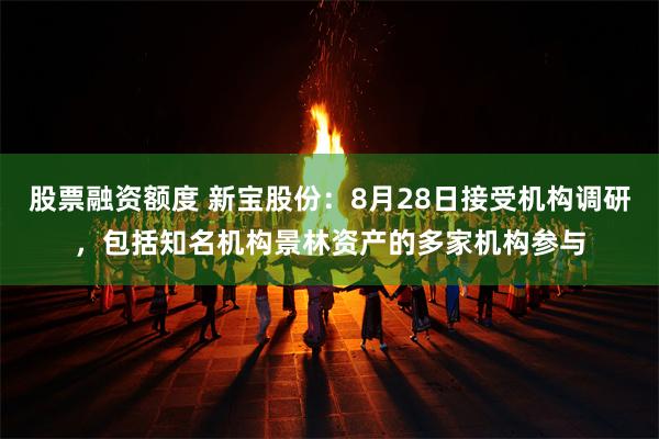 股票融资额度 新宝股份：8月28日接受机构调研，包括知名机构景林资产的多家机构参与