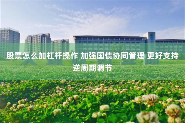 股票怎么加杠杆操作 加强国债协同管理 更好支持逆周期调节