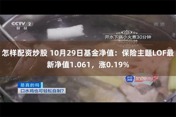 怎样配资炒股 10月29日基金净值：保险主题LOF最新净值1.061，涨0.19%