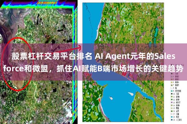 股票杠杆交易平台排名 AI Agent元年的Salesforce和微盟，抓住AI赋能B端市场增长的关键趋势