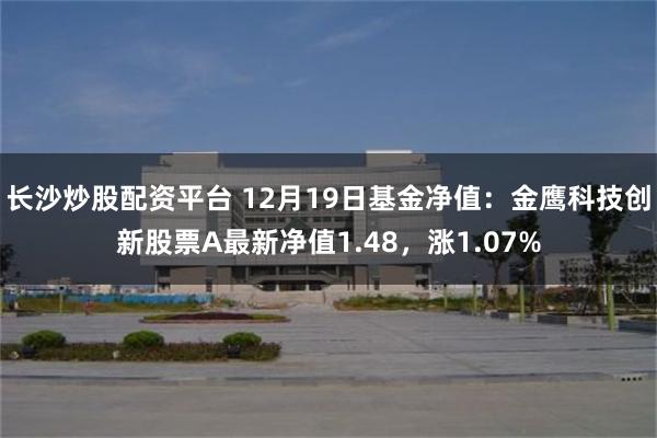 长沙炒股配资平台 12月19日基金净值：金鹰科技创新股票A最新净值1.48，涨1.07%