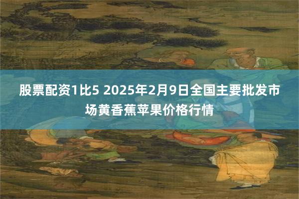 股票配资1比5 2025年2月9日全国主要批发市场黄香蕉苹果价格行情