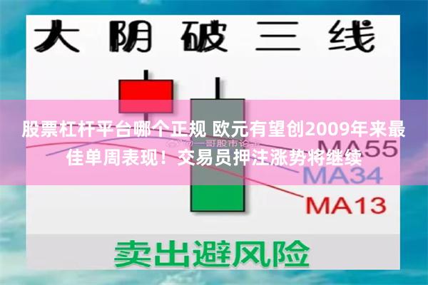 股票杠杆平台哪个正规 欧元有望创2009年来最佳单周表现！交易员押注涨势将继续