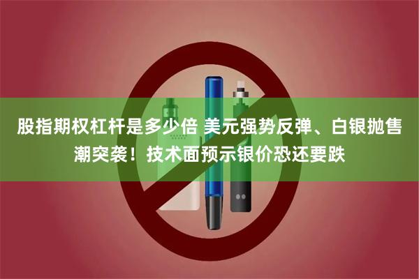 股指期权杠杆是多少倍 美元强势反弹、白银抛售潮突袭！技术面预示银价恐还要跌